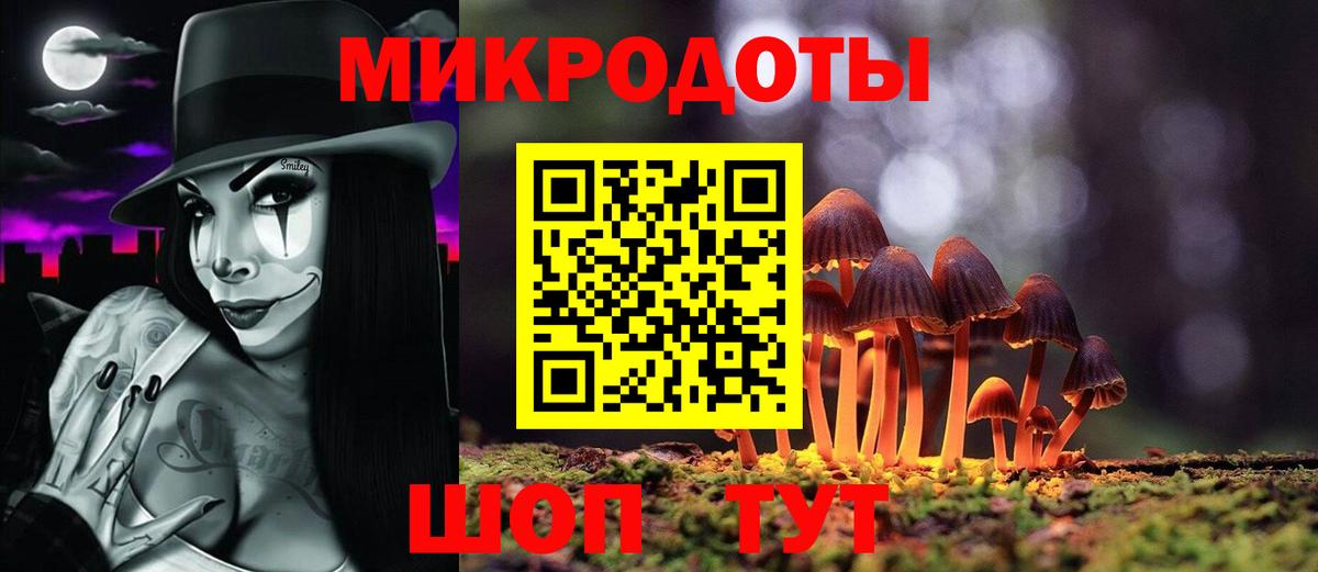 Псилоцибиновые грибы мицелий Строитель